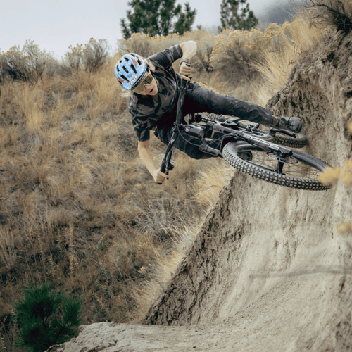 Coaching: 12 x 2,5 uur ALLRIDE